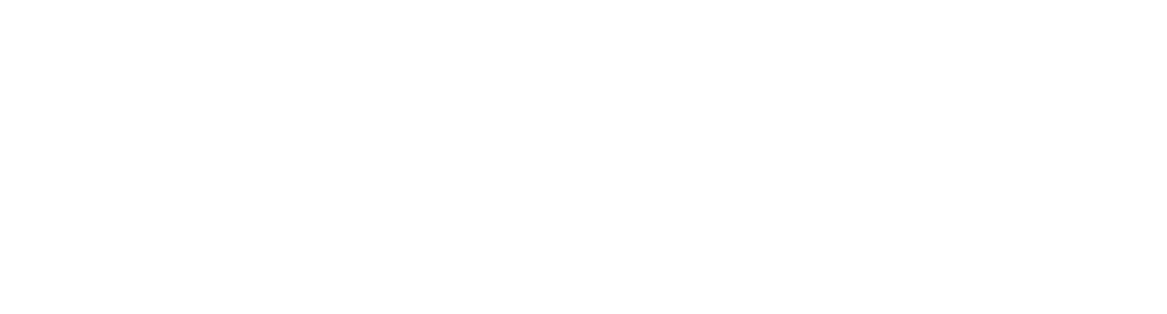 Tiecom Bakel b.v. logo wit